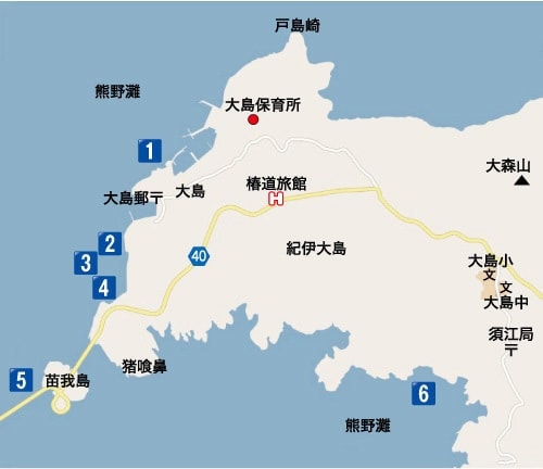 釣りポイント